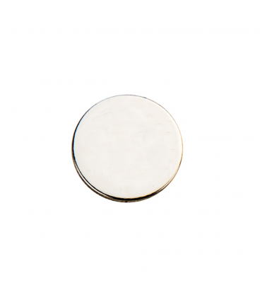 Metal trolley coin 