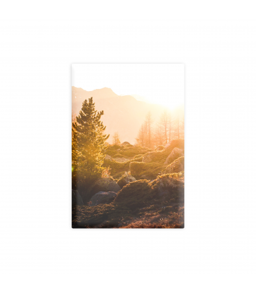78 x 53 mm rectangular button 