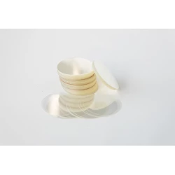 Poliéster para chapas (x500)