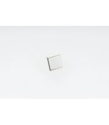 PIN personalitzat UP-10
